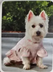 Koolaburra Uggs Dog Snuggle Shirt Jacket XL Peach Light Coat Dress Up Chest 30”