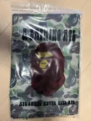 A BATHING APE Bape Big Shoulder Pouch Bag CAMO Camouflage Magazine MOOK Appendix
