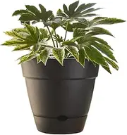 [Northcote Pottery] Leonard Self-Watering Pot, 20 x 18 cm Size, Black