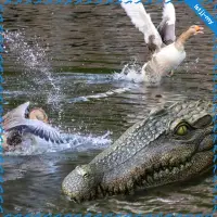 在飛比找蝦皮購物優惠-[LstjjMY] 頭飾鴨威懾泳池配件花園池塘浮動鱷魚頭鱷魚