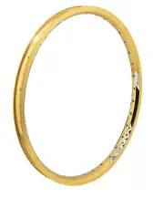 Envy RR Sun Ringle 20in Envy RR Gold 28