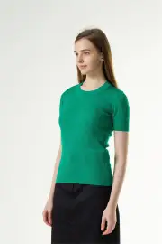 Merinosnug Superfine Merino Round Neck Basic Tee, Persian Green / L