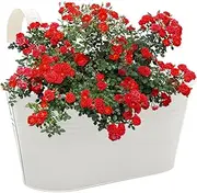 Balcony Railing Planter, Gardening Supplies Metal Iron Railing Flower Pots, Mount Bucket Holder Countryside Porch Patio Planter Box for Stairs Apartment Windowsill