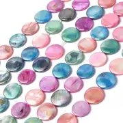 10 Strands Flat Round Colorful Natural Freshwater Shell Beads Strands 15mm 14.5"
