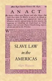 在飛比找博客來優惠-Slave Law in the Americas