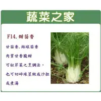 在飛比找蝦皮購物優惠-蔬菜之家滿額免運【00F14】大包裝.甜茴香種子40克(約8