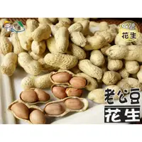 在飛比找蝦皮購物優惠-【野味食品】鄭美香 老公豆花生(9號花生,帶殼花生,老公仔花