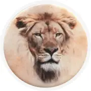 Popsockets Grip Stand Mittens Lion Popsocket