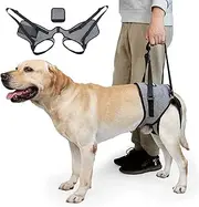 Dog Lift Harness, Dog Sling for Medium Large Dogs, Adjustable Dog Support Harness for Back Legs, Comfy Design Pet Harness with Padded for Elderly, Injured, Arthritic, Senior, Disabled Dogs (Grey, L)