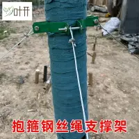 在飛比找樂天市場購物網優惠-樹木支撐架金屬鐵抱箍固定器園林綠化防風大樹撐桿鋼絲繩支撐架