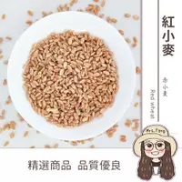 在飛比找松果購物優惠-【日生元】紅小麥 600g 雜糧米 小麥 小麥草 鸚鵡 倉鼠