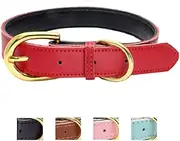 Ozpaw Padded Leather Dog Collar for Puppies Small Medium Dogs and Cats (Medium, Red)