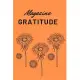 Magazine: Gratitude: (Happiness Magazine, Magazine for Women)