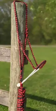 New Red & Black Mule Tape Halter with Lariat Noseband and lead. Horse tack