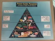 Vintage PHOTO 16x20 Classroom Poster Chart Teaching RFK FOOD CHAIN PROPAGANDA
