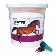 4Cyte Equine Granules Horse Joint Supplement 700g