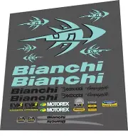 Bianchi EV3 Reparto Corse Team Coast 2003 Decal Set