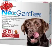 Flea Tick Chewable Tablets for Dogs 25.1–50kg Red 3 Pack XL Pest Protection
