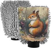 XYMZR Squirrel Cute Garden Absorbent Microfiber Car Wash Mitt, Funny Cute Anime Scratch Free for Cars Cleaning, Home Cleaning Mitts, 2 Pack, 10.24” L x 7.09” W