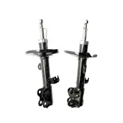2x Front Roadsafe STR Sealed Strut Shocks for Toyota Corolla Allex ZZE122R 00-07