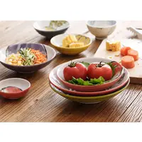 在飛比找蝦皮購物優惠-日本製 美濃燒 西洞窯 釉下彩 野菜物語 蔬菜盤 圓盤 深盤