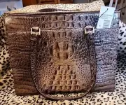 NWT Brahmin Anywhere Tote Elmwood Melbourne Genuine Leather