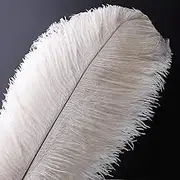 10pcs Natural Ostrich Feathers Plume - 16-18inch(40-45cm) for Wedding Centerpieces Home Decoration (40-45cm,White)
