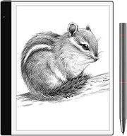 Bigme inkNoteS Ereader 10.3" Octa-core 2.3Ghz Dual Camera TF Card Slot E Ink Tablet with Stylus, Cover