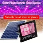 35/60W Solar LED Grow Light Full Spectrum Floodlight Plant Growing Light Remote