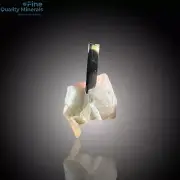 Tourmaline with Quartz and Muscovite – A Unique Crystal Trio