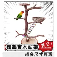 在飛比找蝦皮購物優惠-鳥站桿站架 樹枝訓鳥架子站棍  鳥籠用品 鳥玩具 鸚鵡站架 