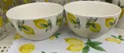 2- Bowls Royal Norfolk Lemon Printed Dinner Bowls with Blue Rims, 5.5-in
