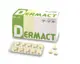 [公司貨] DERMACT 犬貓 膚錠 寵物營養保健營養品 -100錠～日本全藥 似歐善鋅.膚錠.膚寶