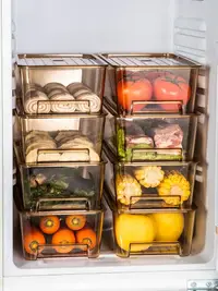 在飛比找樂天市場購物網優惠-冰箱收納保鮮盒食品級雞蛋餃子專用盒子廚房儲物食物冷凍整理神器