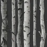 Birch Trees Wallpaper Fine Decor Black/Silver