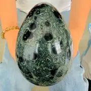 6.49LB Natural Kappa Stone Crystal Egg Polishing Healing 2950g