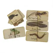 5 Little Bears Matching Puzzle 18pce - Creepy Crawlies