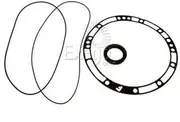 Pump Leak Kit A440/442 A/M F/Seal APK-95000