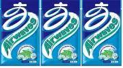 3 packs x Pellet Wrigley's Airwaves Chewing Gum Menthol Eucalyptus Wrigleys