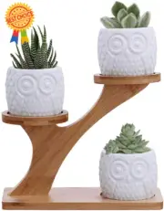 3Pcs Owl Succulent Pots with 3-Tier Bamboo Stand, White Ceramic with Drainage
