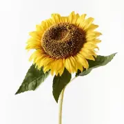 Artificial Silk Large Deluxe Sunflower Stem - Yellow