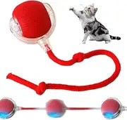 2024 New Interactive Rolling Dog Ball, Self Rolling Dog Ball Interactive Cat Toys Automatic Cat Toy Self Moving Dog Toys, 360° Smart Automatic Rolling Ball Toy Electric Dog Balls for Dog/Cat (Red)
