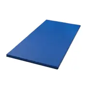 Kids Play Mat Tumbling Gymnastics Mat Cartwheel Mat 120x60cm - Blue