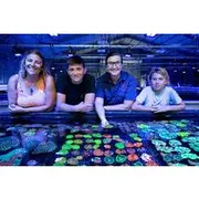 Save 19.96%! One Hour Coral Farm Tour, Discover Australia's Marine Life