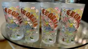 Georgia Peach The State Catstudio Frosted 4 Drinking Glass 6" Barware NEW