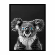 Koala Framed Framed Art Print