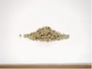 Caterers Choice Peppercorns White Whole 1 Kg x 1