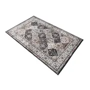 Shilloi Machine Washable Rug