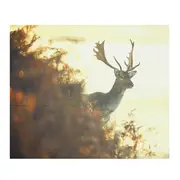 Deer Tapestry Forest Landscape Printed Wall Tapestry Hanging Background Cover Bedspread Beach Yoga Mat