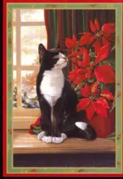 Black and White cat with Poinsetta Christmas Card #85- 1 card + 1 blank envelope